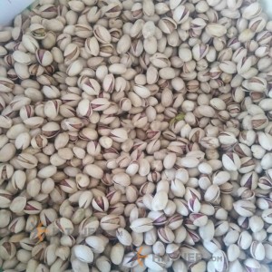 Sirjan Fandoghi Raw Pistachio Ounce 30