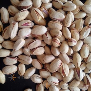 Rafsanjan Ahmad Aghaei Raw Pistachio Ounce 26