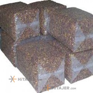 Sirjan Ahmad Aghaei Raw Pistachio Nut Ounce 24