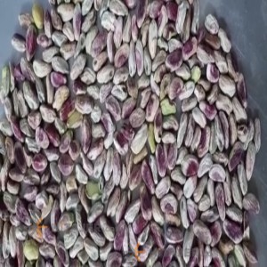 Sirjan Ahmad Aghaei Raw Pistachio Nut Ounce 24