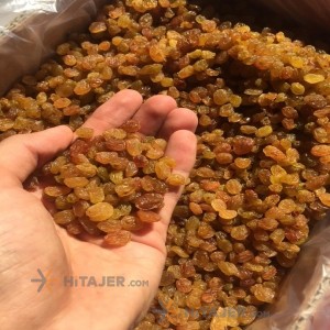 کشمش طلایی تیزابی درجه ۱ تاکستان