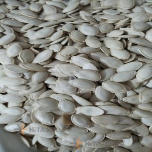 Semirom Raw Pumpkin Seeds
