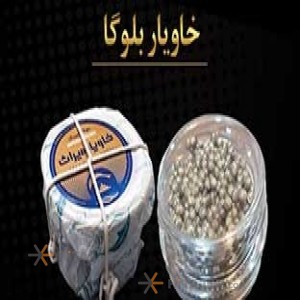 خاویار بلوگا درجه یک سایز 3 میراث