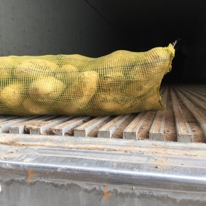 Ardabil Jelly Seed Potato