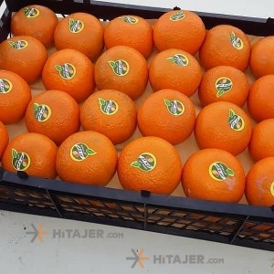 Hormozgan Tangerine