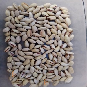 Kerman Akbari Pistachio Grade 2