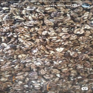 Tuyserkan Sugared walnut