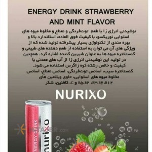 Nurixo energy drink with strawberry and mint flavor
