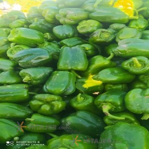 فلفل دلمه سبز دزفول