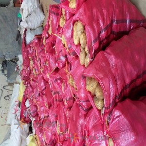 بطاطس همذان