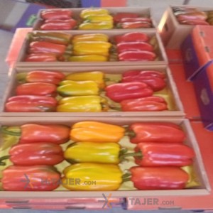 Rudan Colorful Bell Pepper