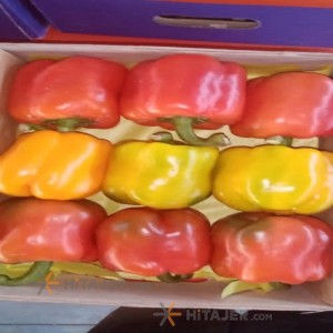 Rudan Colorful Bell Pepper