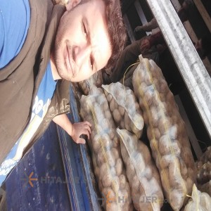 بطاطس همذان