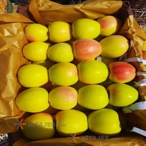 Salmas Yellow Apple