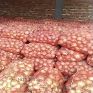 Bonab Golden Onion