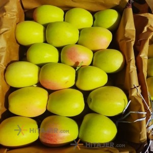 Salmas Yellow Apple