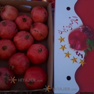 Shiraz Pomegranate