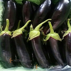Rudan Eggplant Rudan Eggplant