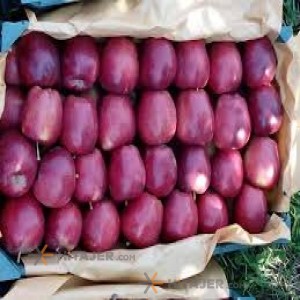 سیب قرمز مراغه