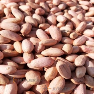 بادام زمینی اردبیل