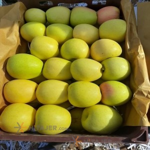Salmas Yellow Apple