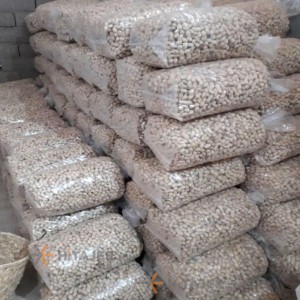 بادام زمینی اردبیل