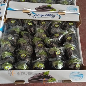 Lampi eggplant jiroft