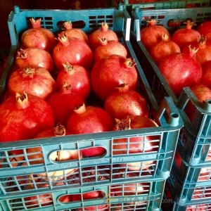 Fars Pomegranate