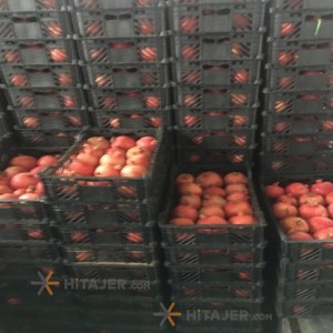 Fars Pomegranate