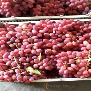 Orumiyeh Seedless Red Grapes