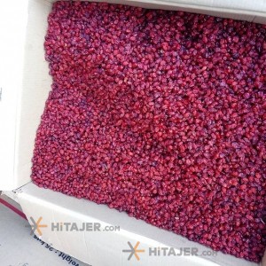 زرشک پفکی قائنات