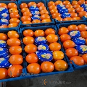 Qaemshahr orange
