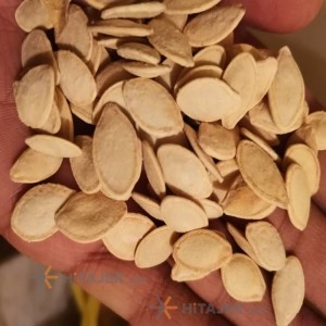 Tabriz Raw Pumpkin Seed