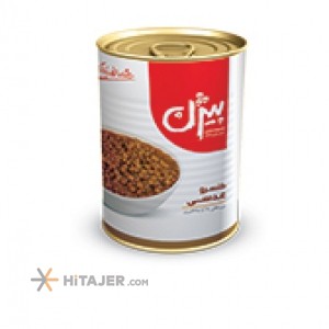 Bijan canned lentile 380 g