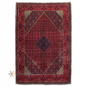 Bijar Rug Ref 179022