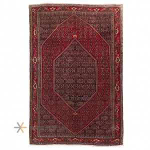 Bijar Rug Ref 179023