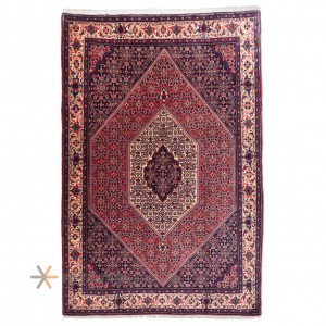 Sangar Rug Ref 179020
