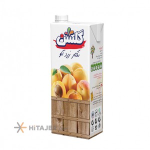 Golshan Apricot nectar
