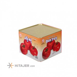 Behyek tomato paste 9000 g