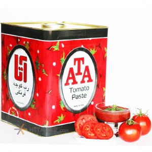 Ata tomato paste 17 kg