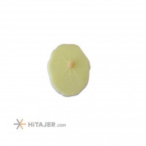 Mania double waterlily silicon coaster code 119012