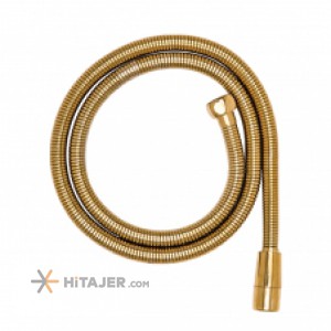 Zarsham shiny gold toilet hose