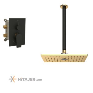Shouder gold black romer concealed bathroom shower