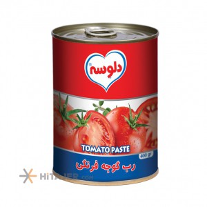 Delvaseh 800g tomato paste