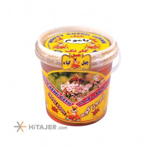 Golrang 650g Honey without wax in tiny bucket