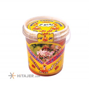 Golrang 650g Honey with wax in tiny bucket