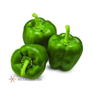 Karaj green bell pepper