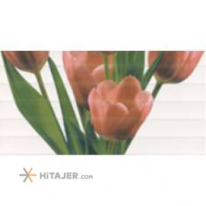 کاشی درجه 3 دیواری لعاب دار چاپ دیجیتال سمنان کد QQD265C