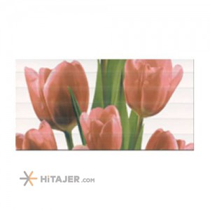 کاشی درجه1 دیواری لعاب دار چاپ دیجیتال سمنان کد QQD265B