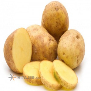 Ardabil potato with agria seed